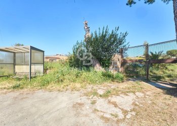 Foto 4 - Terreno agricolo Via Aurelia Vecchia
 
snc, Santa Marinella - foto 4