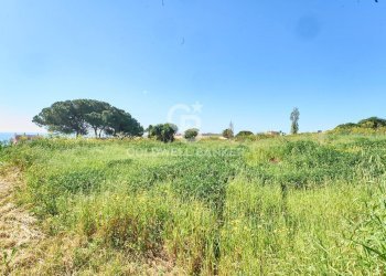 Foto 5 - Terreno agricolo Via Aurelia Vecchia
 
snc, Santa Marinella - foto 5