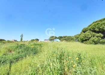 Foto 8 - Terreno agricolo Via Aurelia Vecchia
 
snc, Santa Marinella - foto 8