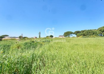 Foto 10 - Terreno agricolo Via Aurelia Vecchia
 
snc, Santa Marinella - foto 10