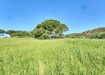 Foto 11 - Terreno agricolo Via Aurelia Vecchia
 
snc, Santa Marinella - foto 11