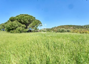 Foto 12 - Terreno agricolo Via Aurelia Vecchia
 
snc, Santa Marinella - foto 12