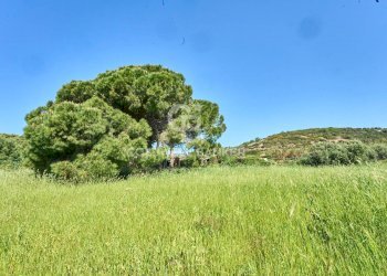 Foto 13 - Terreno agricolo Via Aurelia Vecchia
 
snc, Santa Marinella - foto 13