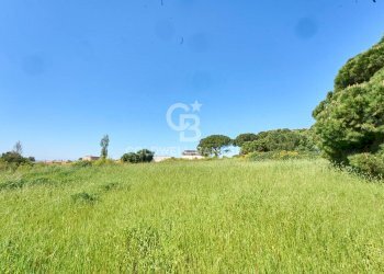 Foto 14 - Terreno agricolo Via Aurelia Vecchia
 
snc, Santa Marinella - foto 14