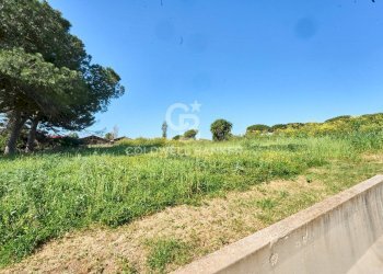 Foto 18 - Terreno agricolo Via Aurelia Vecchia
 
snc, Santa Marinella - foto 18