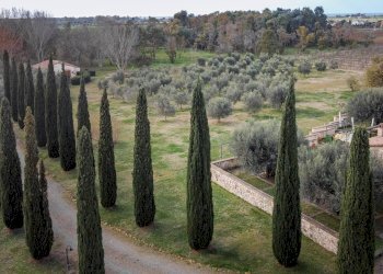 Foto 32 - Villa Località il Sorbo, Tarquinia - foto 32