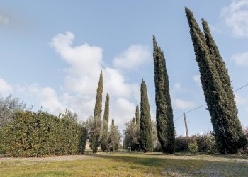 Foto 35 - Villa Località il Sorbo, Tarquinia - foto 35