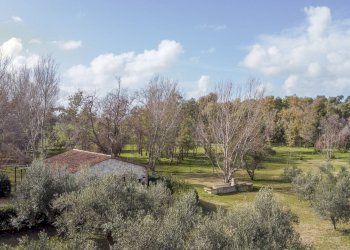 Foto 37 - Villa Località il Sorbo, Tarquinia - foto 37