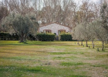 Foto 38 - Villa Località il Sorbo, Tarquinia - foto 38