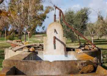 Foto 74 - Villa Località il Sorbo, Tarquinia - foto 74