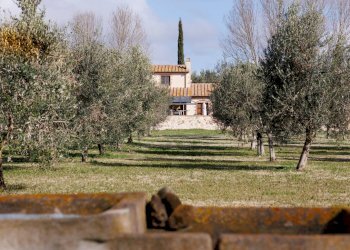 Foto 76 - Villa Località il Sorbo, Tarquinia - foto 76