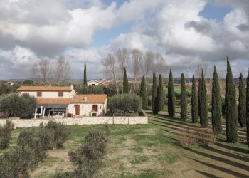 Foto 91 - Villa Località il Sorbo, Tarquinia - foto 91