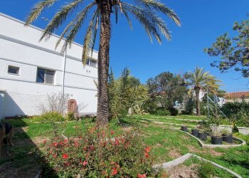 Foto 7 - Villa Centrale
 
20, Olbia - foto 7