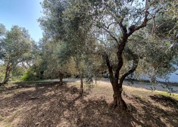 Foto 9 - Villa Centrale
 
20, Olbia - foto 9