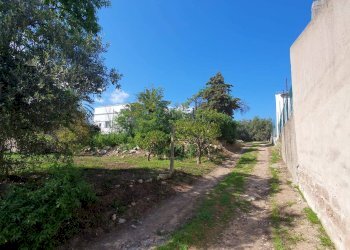 Foto 12 - Villa Centrale
 
20, Olbia - foto 12