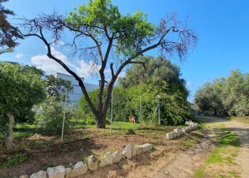 Foto 9 - Terreno edificabile Centrale, Olbia - foto 9