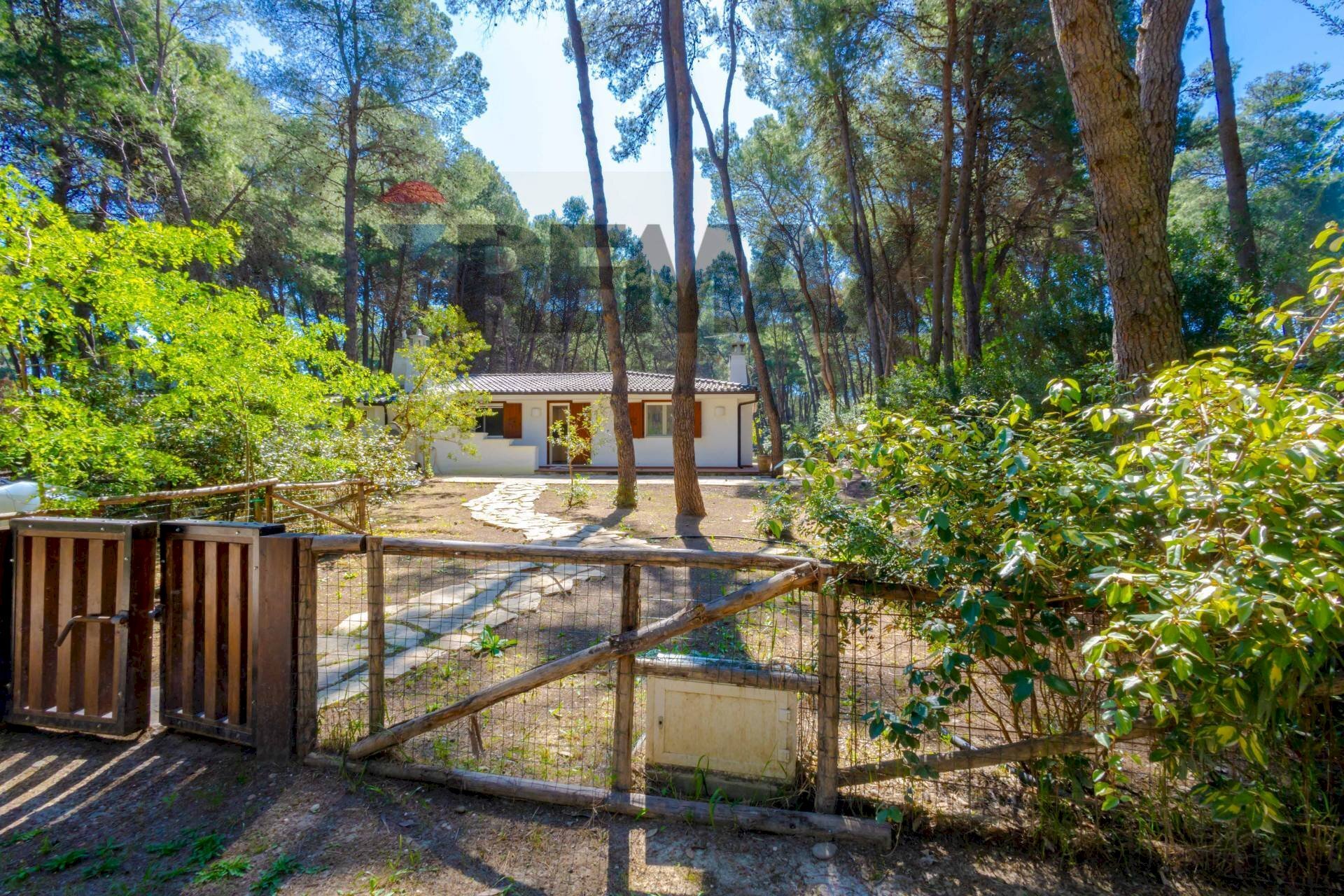 Giardino - Casa semi indipendente Località Riva dei Tessali
 
snc, Castellaneta - foto 1