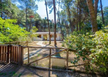 Giardino - Casa semi indipendente Località Riva dei Tessali
 
snc, Castellaneta - foto 1