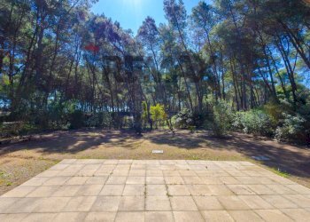 Giardino - Casa semi indipendente Località Riva dei Tessali
 
snc, Castellaneta - foto 4