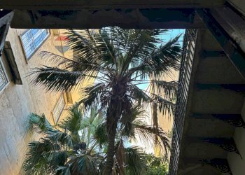 Edificio all\'aperto - Casa indipendente Via Giuseppe Romano
 
3, Palermo - foto 13