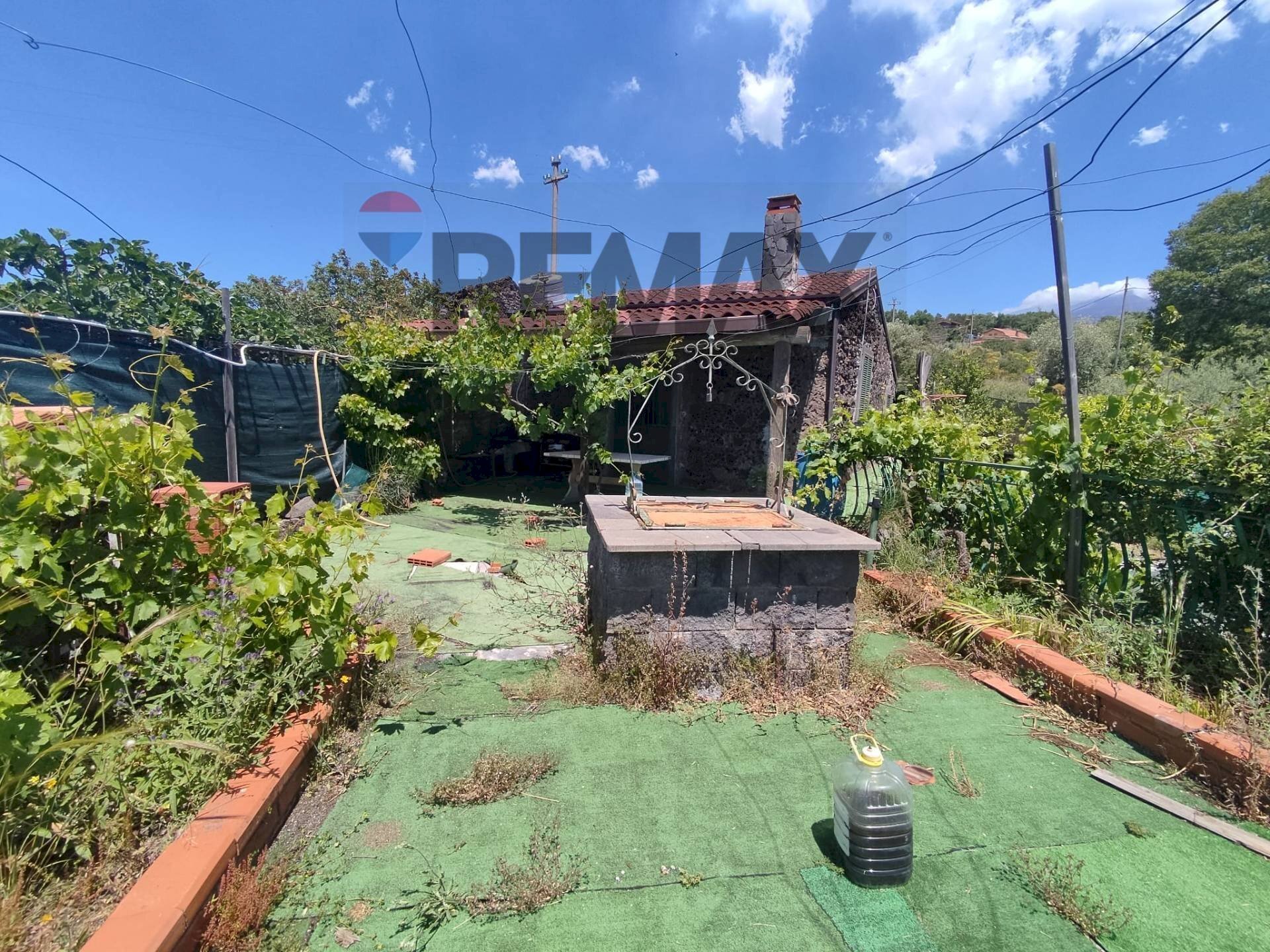 Giardino - Casa indipendente Contrada San Lucio/SP.156
 
snc, Belpasso - foto 1