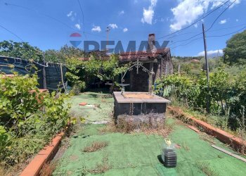 Giardino - Casa indipendente Contrada San Lucio/SP.156
 
snc, Belpasso - foto 1