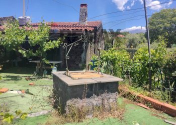 Giardino - Casa indipendente Contrada San Lucio/SP.156
 
snc, Belpasso - foto 2