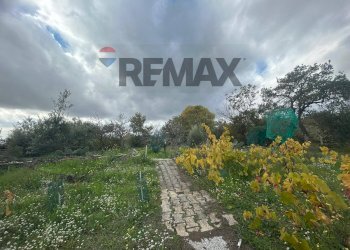 Giardino - Casa indipendente Contrada San Lucio/SP.156
 
snc, Belpasso - foto 27