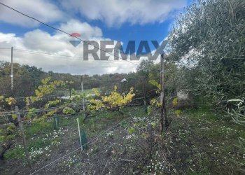 Vista delle montagne - Casa indipendente Contrada San Lucio/SP.156
 
snc, Belpasso - foto 28
