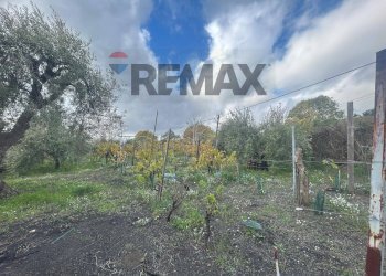 Giardino - Casa indipendente Contrada San Lucio/SP.156
 
snc, Belpasso - foto 30