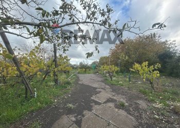 Giardino - Casa indipendente Contrada San Lucio/SP.156
 
snc, Belpasso - foto 31