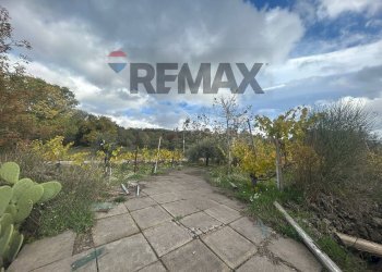 Giardino - Casa indipendente Contrada San Lucio/SP.156
 
snc, Belpasso - foto 32