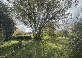 Giardino - Casa indipendente Contrada San Lucio/SP.156
 
snc, Belpasso - foto 33