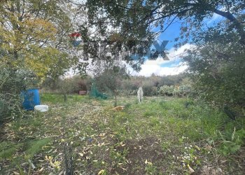 Giardino - Casa indipendente Contrada San Lucio/SP.156
 
snc, Belpasso - foto 34