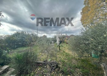 Non correlato - Casa indipendente Contrada San Lucio/SP.156
 
snc, Belpasso - foto 35