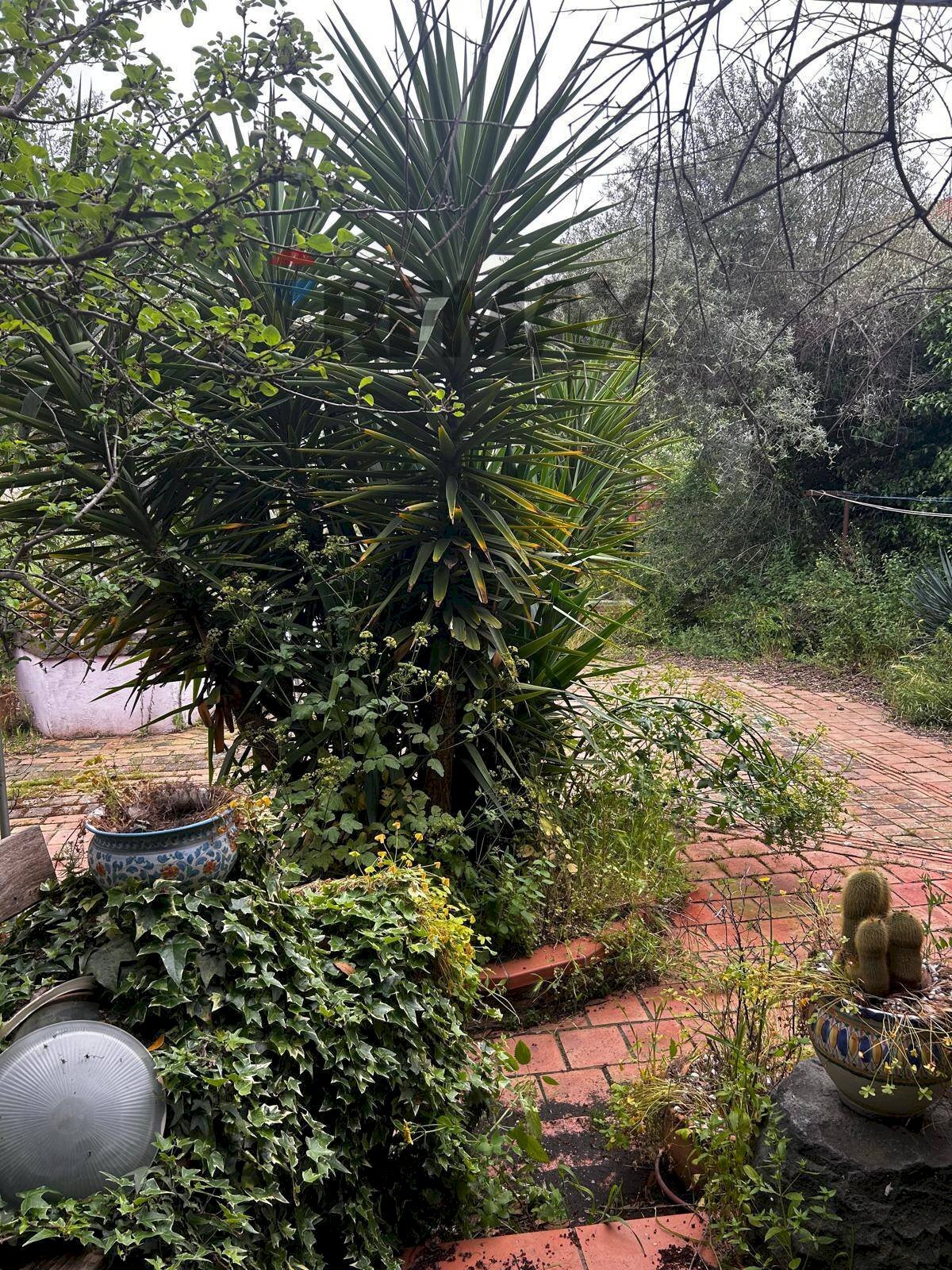 Giardino - Independent house via vittorio emanuele II
 
174, Viagrande - photo 2