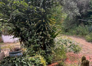 Giardino - Casa indipendente via vittorio emanuele II
 
174, Viagrande - foto 2