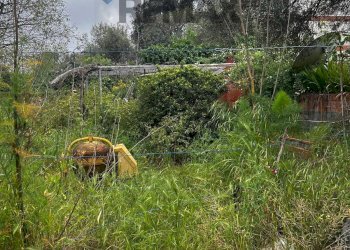 Giardino - Casa indipendente via vittorio emanuele II
 
174, Viagrande - foto 4