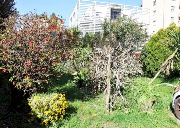 Giardino - Quadrilocale Via Baccio da Montelupo
 
139, Scandicci - foto 25