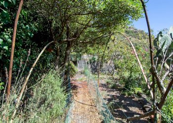 Giardino - Villa contrada ziretto
 
snc, Castelmola - foto 41