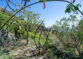 Giardino - Villa contrada ziretto
 
snc, Castelmola - foto 42