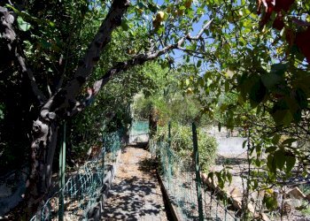 Giardino - Villa contrada ziretto
 
snc, Castelmola - foto 43