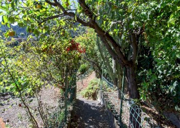 Giardino - Villa contrada ziretto
 
snc, Castelmola - foto 45