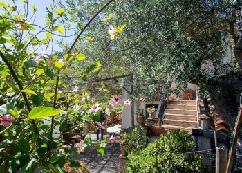 Giardino - Villa contrada ziretto
 
snc, Castelmola - foto 46