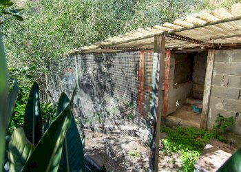 Giardino - Villa contrada ziretto
 
snc, Castelmola - foto 50