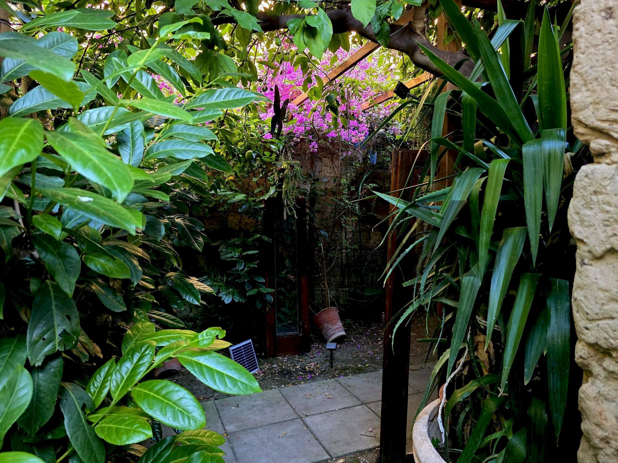 Giardino - Casa semi indipendente MADONNA DI POMEI
1unico, Caserta - foto 2