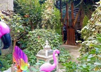 Giardino - Casa semi indipendente MADONNA DI POMEI
 
1unico, Caserta - foto 63