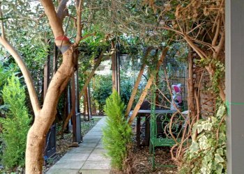 Giardino - Casa semi indipendente MADONNA DI POMEI
 
1unico, Caserta - foto 65