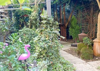 Giardino - Casa semi indipendente MADONNA DI POMEI
 
1unico, Caserta - foto 73