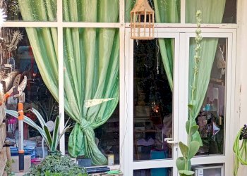 Giardino - Casa semi indipendente MADONNA DI POMEI
 
1unico, Caserta - foto 78